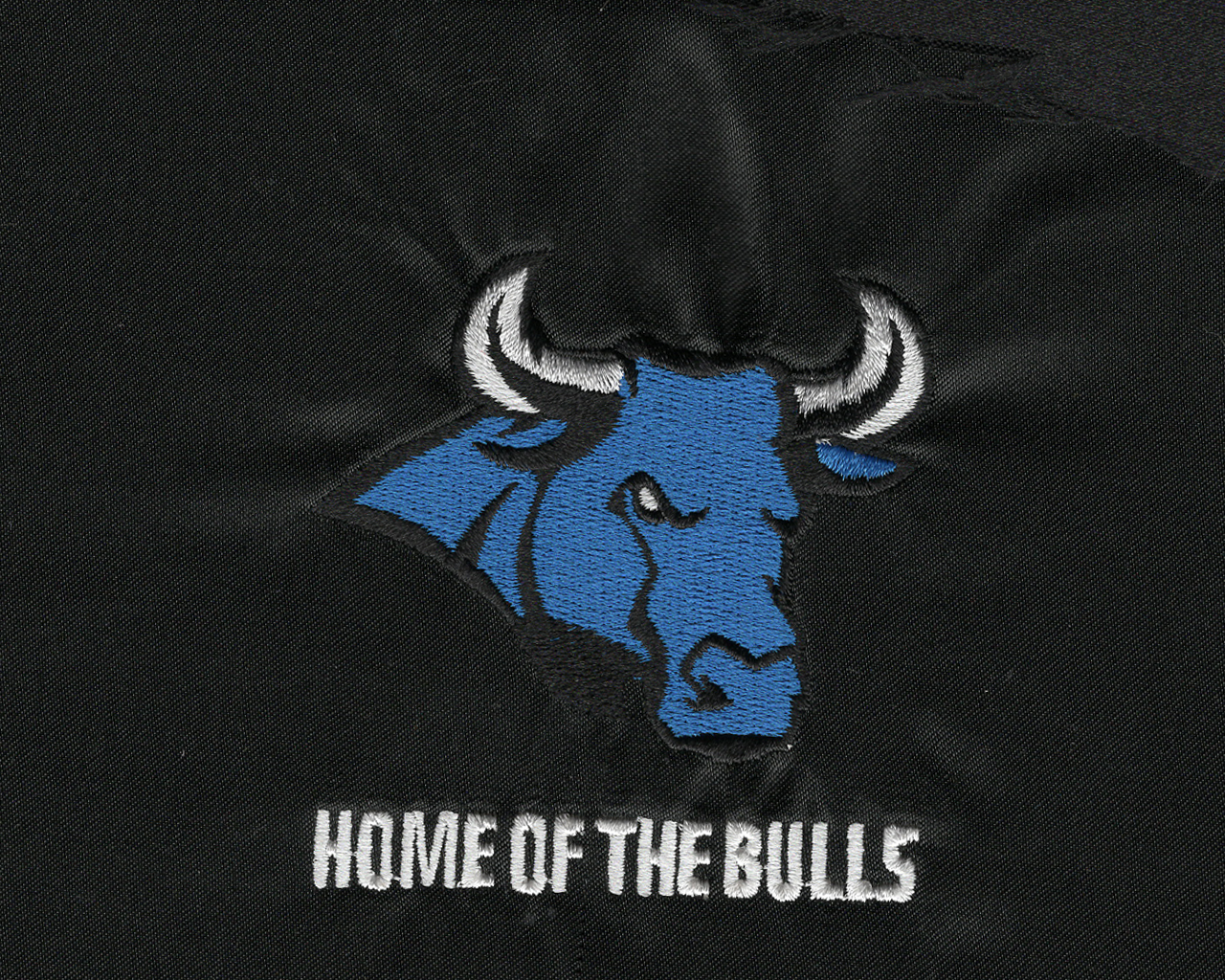 Home of the Bulls